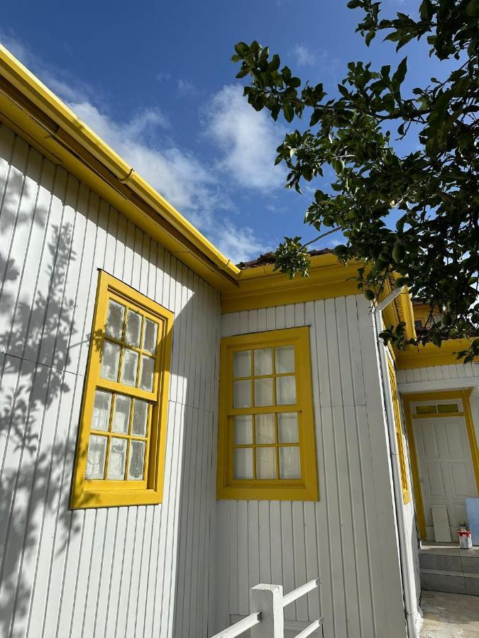 Owls Hostel Ildefonso 포르투 외부 사진