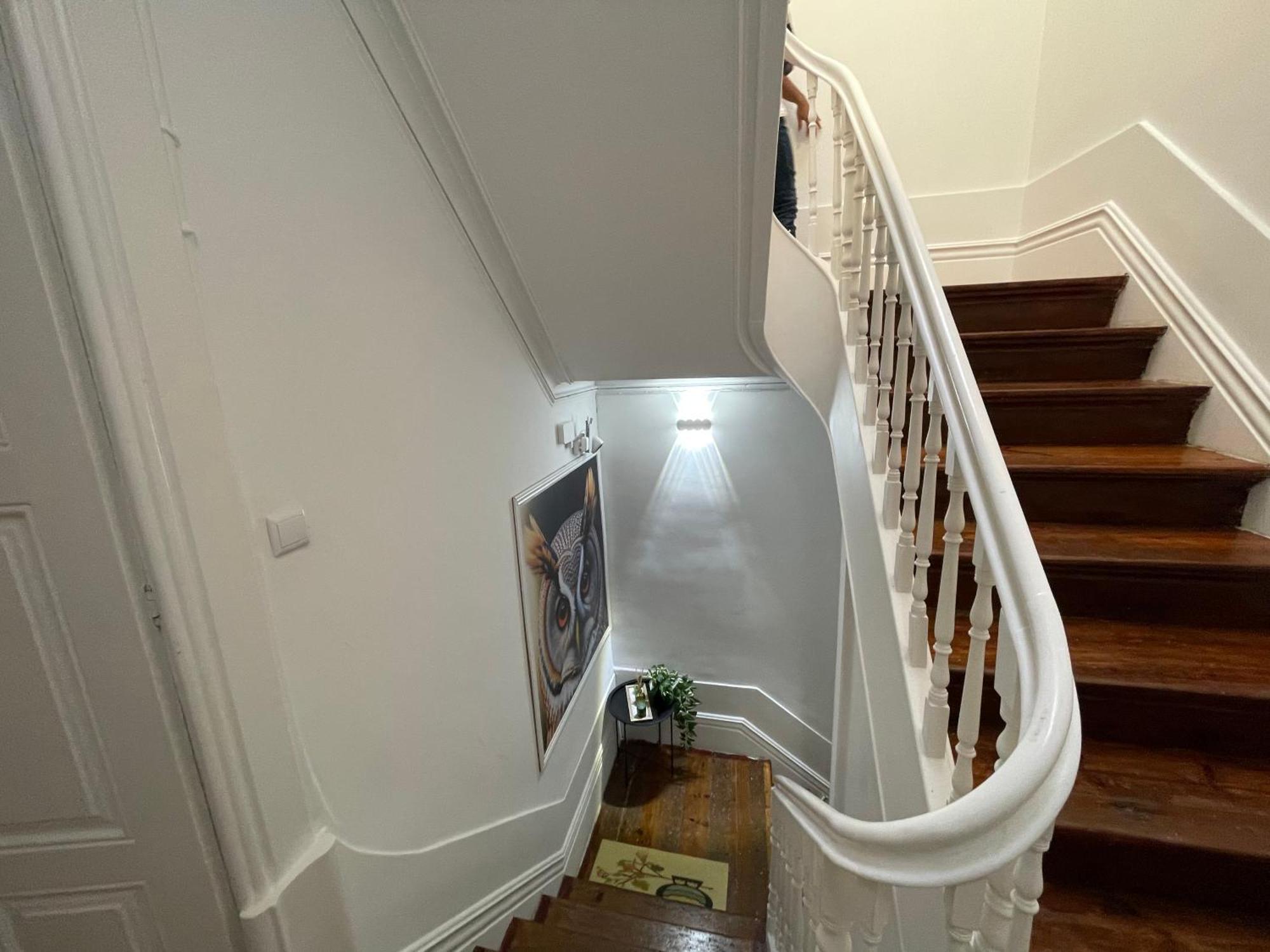 Owls Hostel Ildefonso 포르투 외부 사진