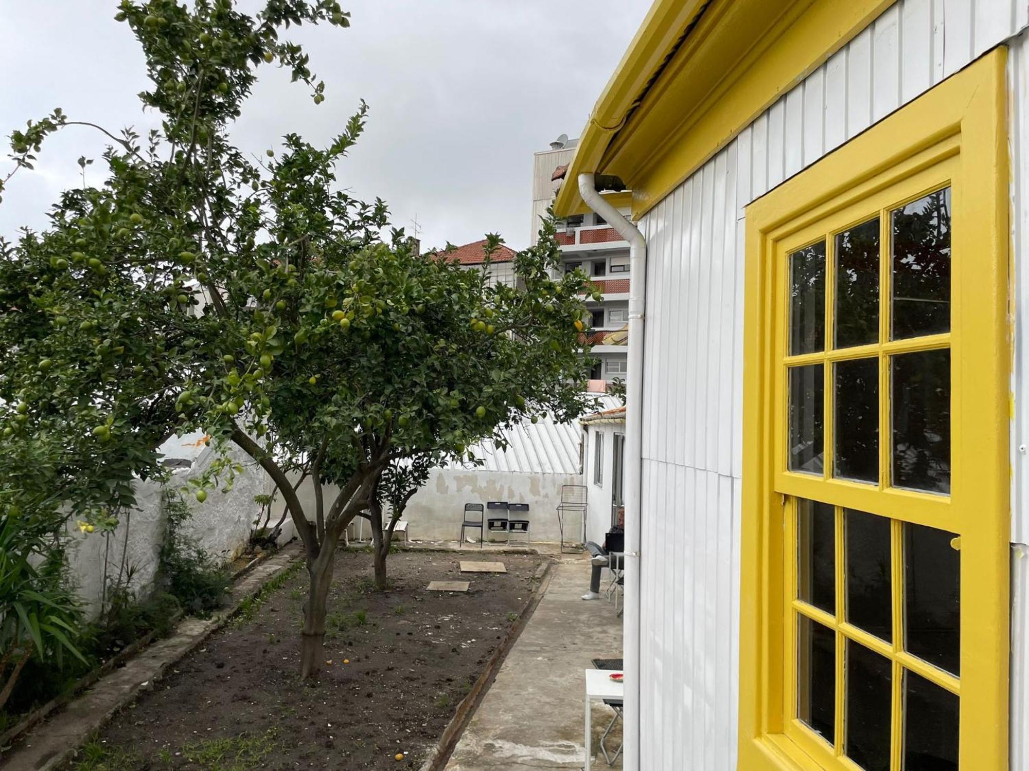 Owls Hostel Ildefonso 포르투 외부 사진